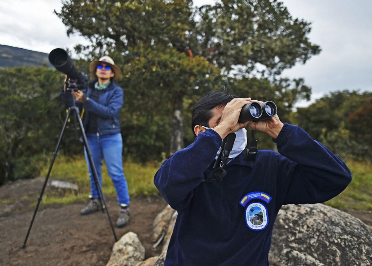 avistamiento a condor en purace cauca.jpg
