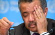 370818_Tedros Adhanom Ghebreyesus, director de la OMS // Foto: AFP