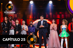 Capítulo 25 La Descarga