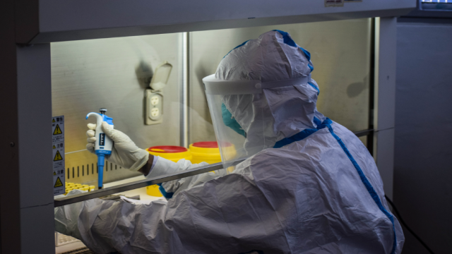 Descubren un anticuerpo que podría contrarrestar el COVID-19 en cuatro días