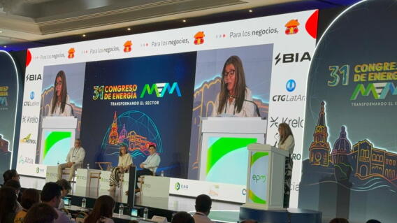 Adriana Jiménez, directora ejecutiva de la CREG.