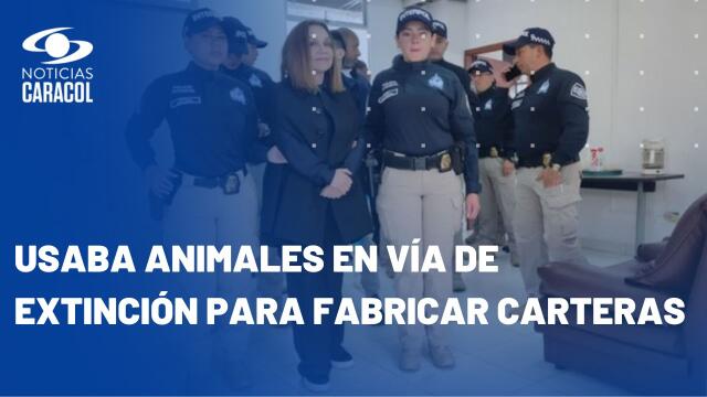 Diseñadora Nancy González se declaró culpable en Estados Unidos por contrabando y conspiración Diseñadora Nancy González se declaró culpable en Estados Unidos por contrabando y conspiración