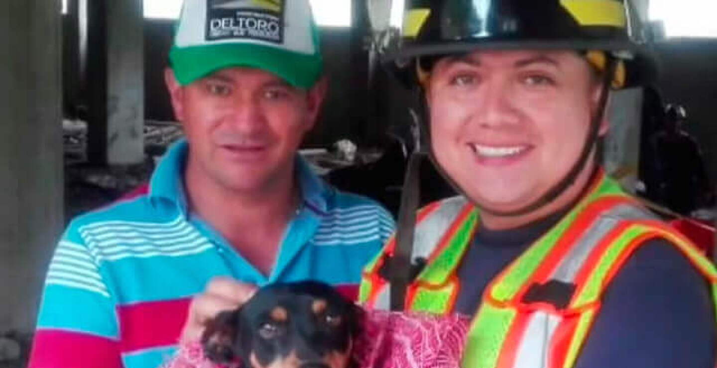 perro-rescatado_1.jpg