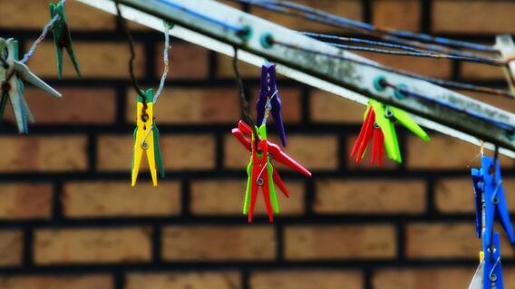 6546_La Kalle. Mujer encuentra una culebra en el patio de la casa / Foto: Pixabay 6546_La Kalle. Mujer encuentra una culebra en el patio de la casa / Foto: Pixabay