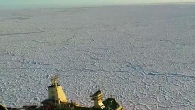 Piel de dragón, espectáculo de la naturaleza en la Antártida