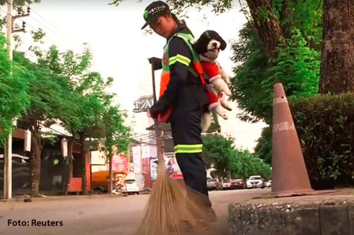trabajadoraperro.jpg