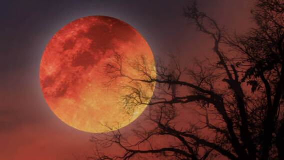 Habrá Luna de Sangre en septiembre 2025: lo que debe saber del último eclipse lunar total del año Habrá Luna de Sangre en septiembre 2025: lo que debe saber del último eclipse lunar total del año