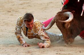 335061_BLU Radio // Torero Juan Leal corneado // EFE