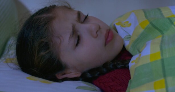 308502_melek970.jpg