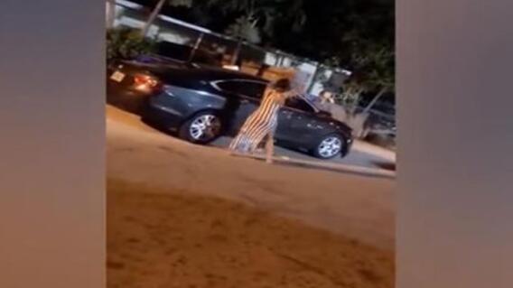 8713_La Kalle - Mujer quemó el carro de su novio por infiel - Foto: Flyheight 8713_La Kalle - Mujer quemó el carro de su novio por infiel - Foto: Flyheight