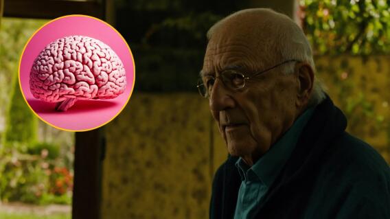 Profesiones que previenen el Alzheimer Profesiones que previenen el Alzheimer