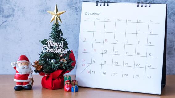 ¿Qué hacer en Bogotá esta Navidad sin gastar dinero? Idartes ofrece más de 60 planes 