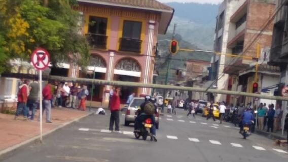 330575_Blu Radio // Palmera caida // Foto: Suministrada