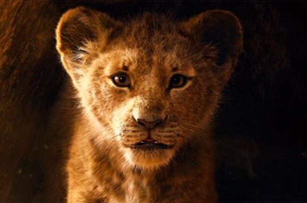simba_1.jpg