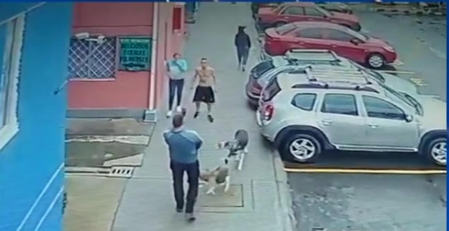 Intolerante agredió a un vecino y sus mascotas con un machete