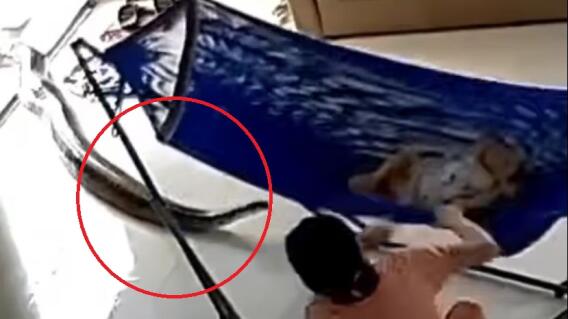 Mujer salva a su bebé de serpiente Mujer salva a su bebé de serpiente