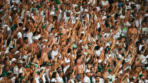 3269_La Kalle - Pelea Palmeiras y Peñarol - Foto referencia AFP 3269_La Kalle - Pelea Palmeiras y Peñarol - Foto referencia AFP