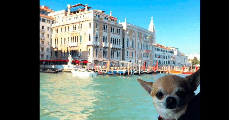 miami_11.gif