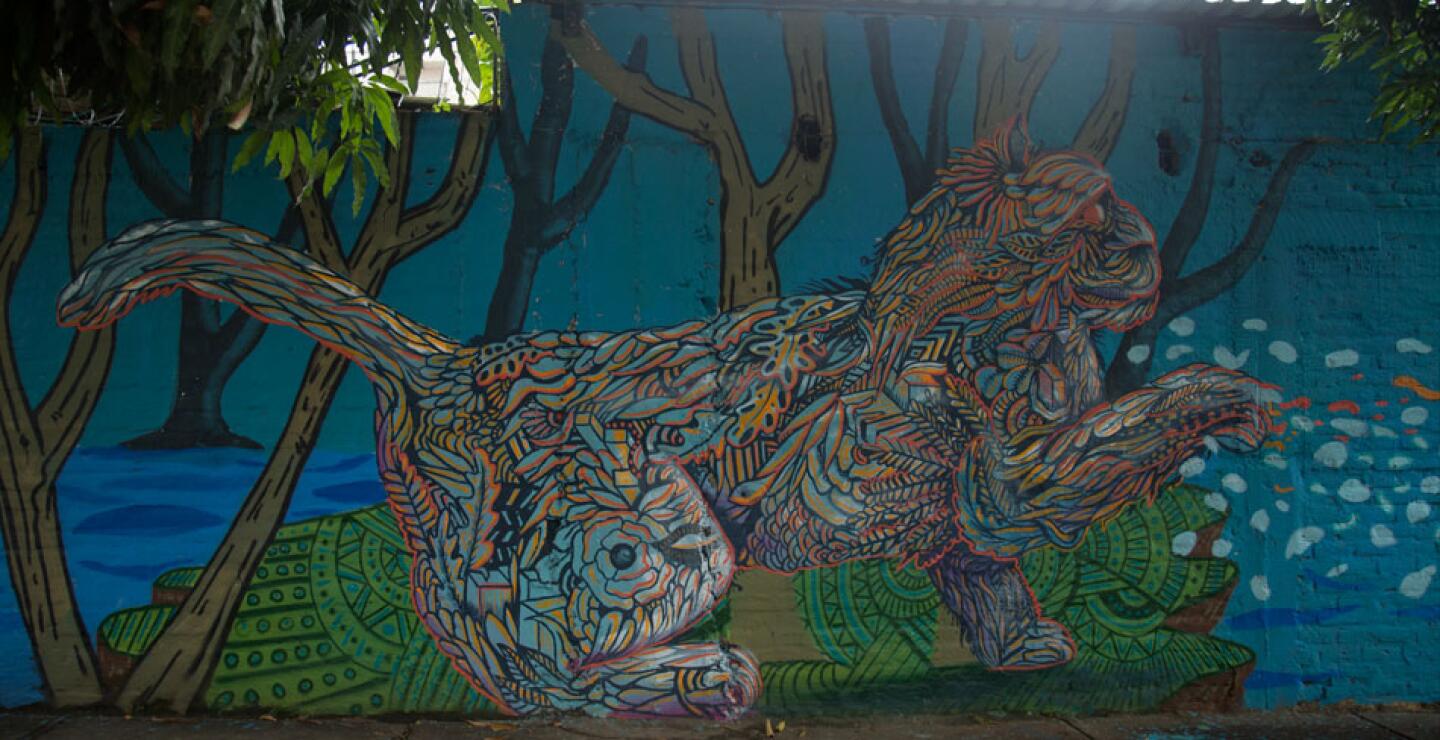 murales-culata-cali-7.jpg