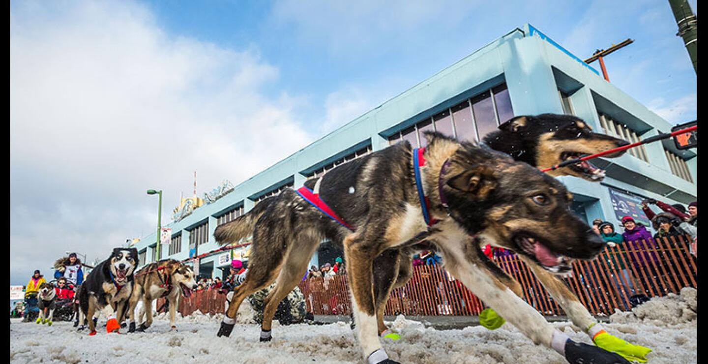 El cuidado de los animales es la condición más importante de esta competencia. 