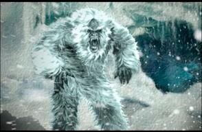 296619_Foto: Captura video YouTube