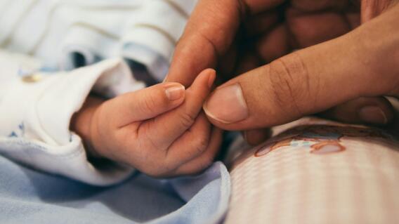 Bebé // imagen de referencia