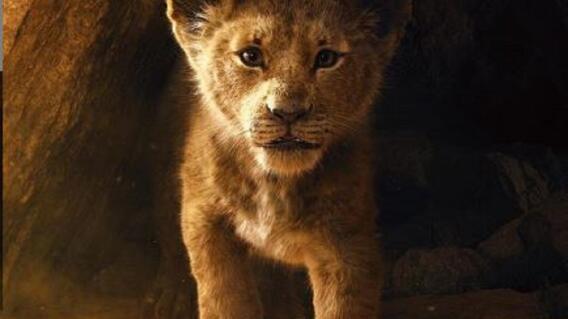 320597_BLU Radio, El Rey Leon, poster oficial / Foto: @Disneystudios