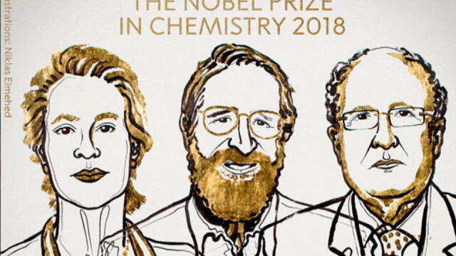 Nobel de Química para estudios sobre la evolución dirigida de enzimas