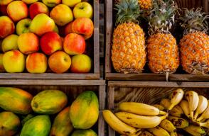Jóvenes emprendedores sacaban droga del país: se hacían pasar por exportadores de fruta
