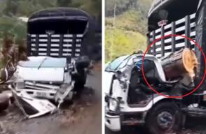 Conductor perdió la vida en Caldas tras la caída de un árbol