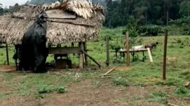 Estos son los detalles del operativo en que fue abatido alias ‘el Indio’ en Córdoba Estos son los detalles del operativo en que fue abatido alias ‘el Indio’ en Córdoba