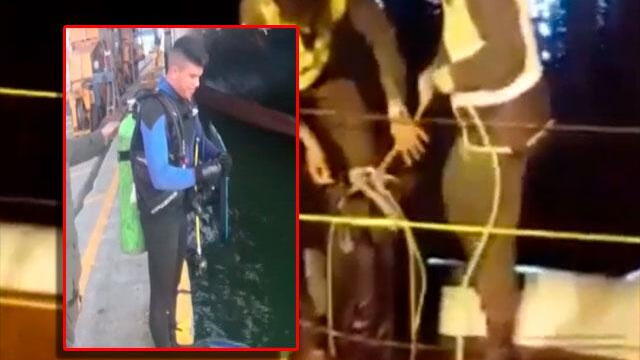 Pericia de unos buzos permitió hallar carga ilícita adherida a barco que no pudo llegar a su destino