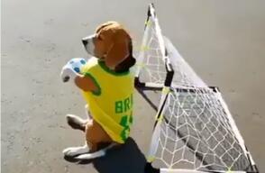 17184_Foto: Tomada de video en Twitter