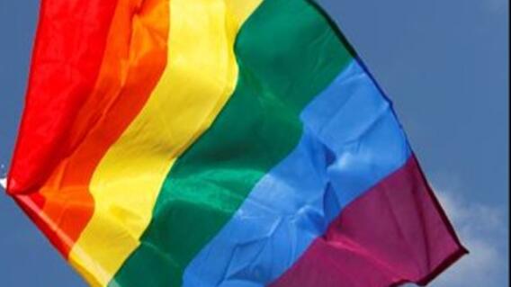 071113_bandera_gay_0.jpg 071113_bandera_gay_0.jpg