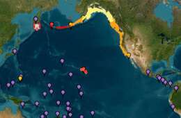 Tsunami del Pacífico EN VIVO: estos son los países que han emitido alertas