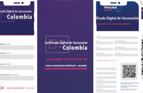 Certificado de vacunación 
