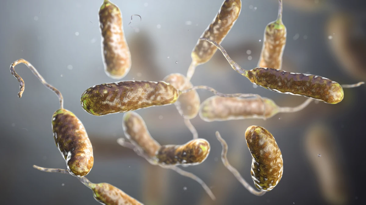Alerta por muerte de cinco personas en Florida por bacteria "devoradora ...