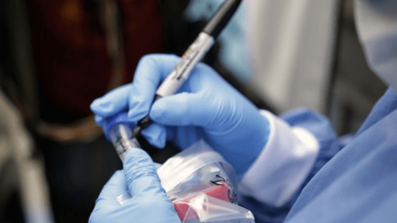 coronavirus_3.png