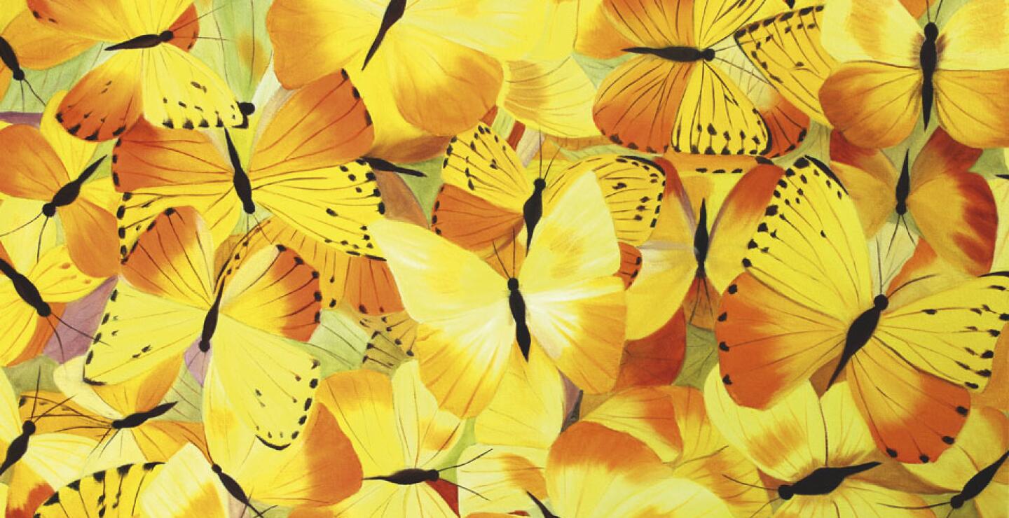 La obra estará abierta al público en la Casa del Valle en Bogotá, ubicada en la calle 34 No. 5-50 con entrada libre durante 11 días a partir del 19 de noviembre.