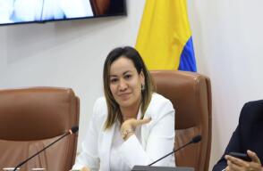 ¿Por qué aún no se ha presentado la reforma a la salud? Ministra Corcho revela la razón