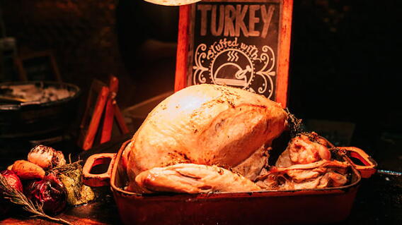 pavo-de-accion-de-gracias.jpg