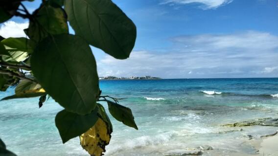 295021_Blu Radio/ Familia caleña es estafada al intentar arrendar un apartamento por Internet. Foto: Simón Hernández, BLU Radio.