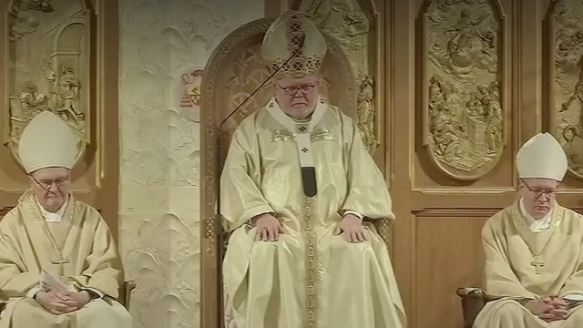Cardenal alemán Cardenal alemán