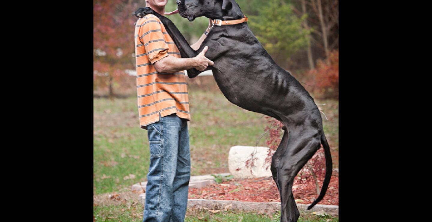 Doorlag dijo que echará de menos la alegría que su perro llevaba a otras personas.
