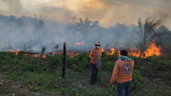 355513_BLU Radio. Incendio forestal en Puerto Wilches, Santander /Foto: Defensa Civil 355513_BLU Radio. Incendio forestal en Puerto Wilches, Santander /Foto: Defensa Civil