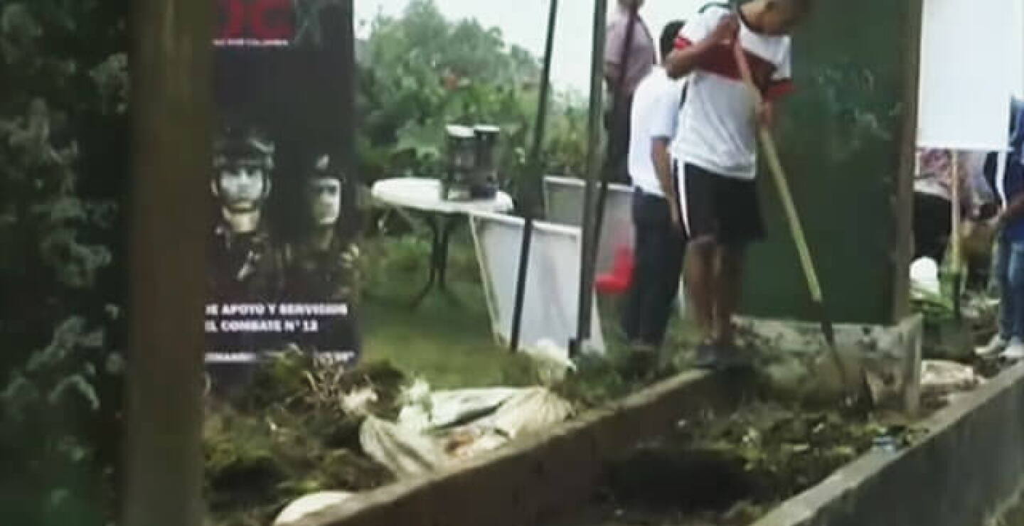 reforestacion-caqueta.jpg