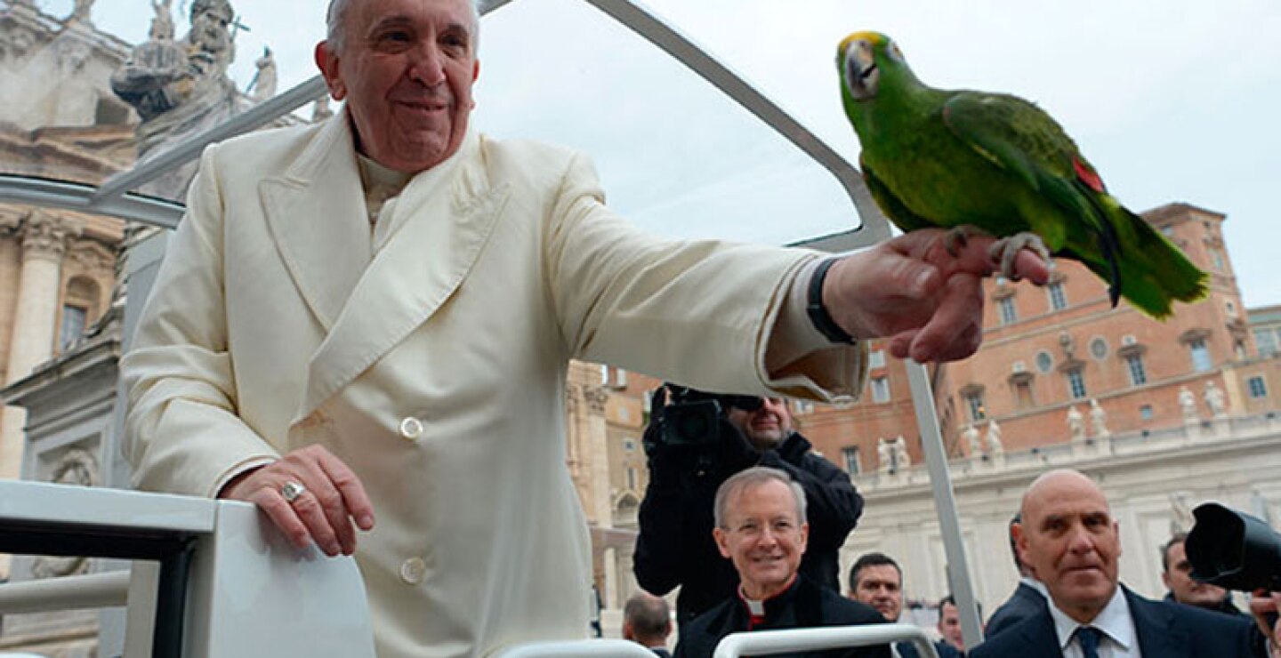 papa_francisco_animales_ap_1.jpg