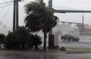 290332_CORPUS CHRISTI, ESTADOS UNIDOS