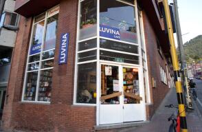 Librería Luvina