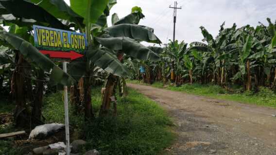 366278_el_osito_apartado_bluradio